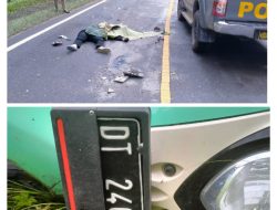Kecelakaan Maut Terjadi di Jalan Trans Sulawesi, Pengemudi Roda Dua Meninggal Dunia 
