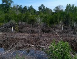 PT. GAP Nyatakan Punya PPKH Hingga Terapakan Good Mining Practice, JAMKARTA Sebut Upaya Menutupi Pelanggaran