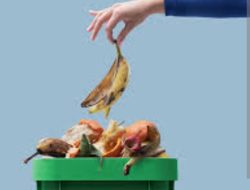 *Kadis Kominfo Buka Suara Terkait Iuran Sampah Bagi ASN di Lingkup Kota Kendari*