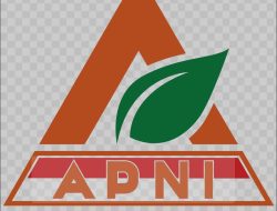 Asosiasi Penambangan Nikel Indonesia (APN): PT Ifishdeco Patuh Regulasi, Sudah Sesuai Kaidah Pertambangan